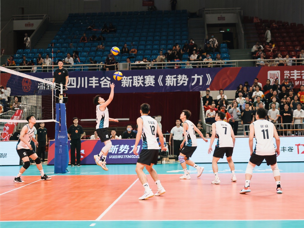 无数豪门球 无数豪门球